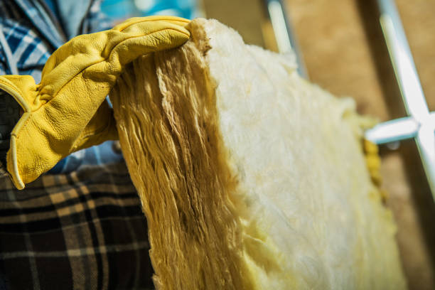 Best Commercial Insulation in Overlea, MD