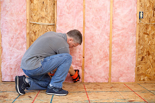 Types of Insulation We Offer in Overlea, MD