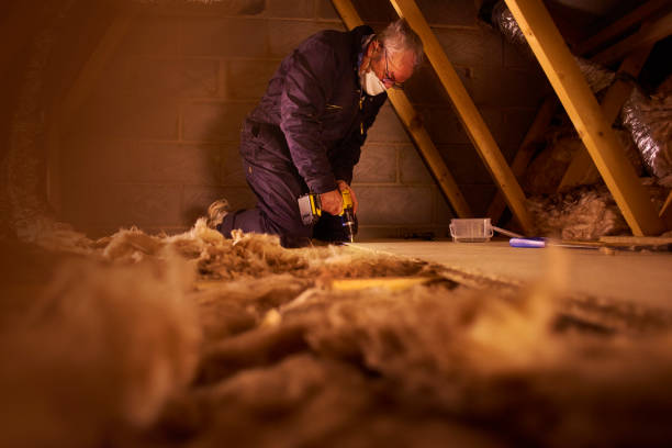 Best Geographic-Specific Insulation Services in Overlea, MD