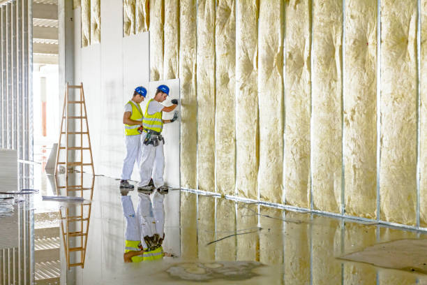 Types of Insulation We Offer in Overlea, MD
